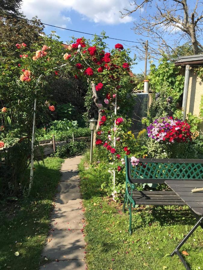 Wohnen Im Eulengarten Oranienburg Eksteriør bilde